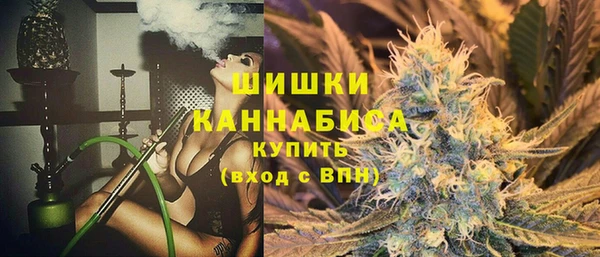 прущие крисы Гусев
