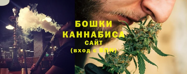 альфа пвп Гусиноозёрск